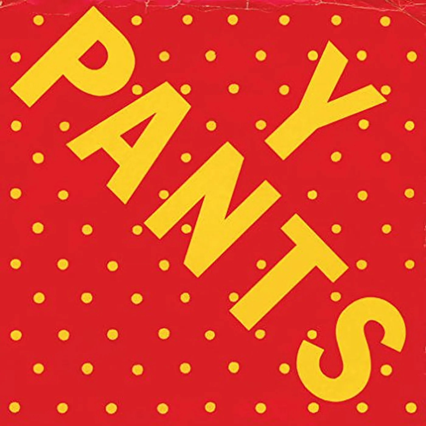 Y PANTS Vinyl Record