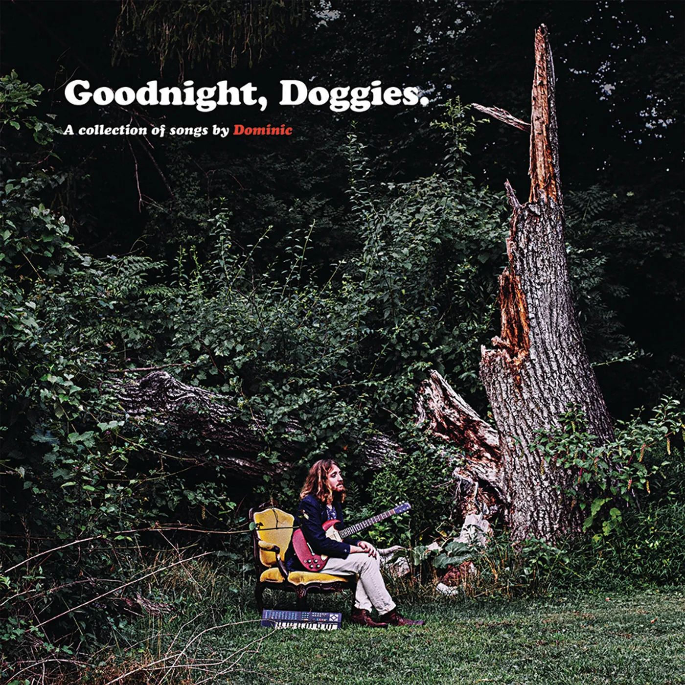 Dominic Angelella GOODNIGHT DOGGIES Vinyl Record