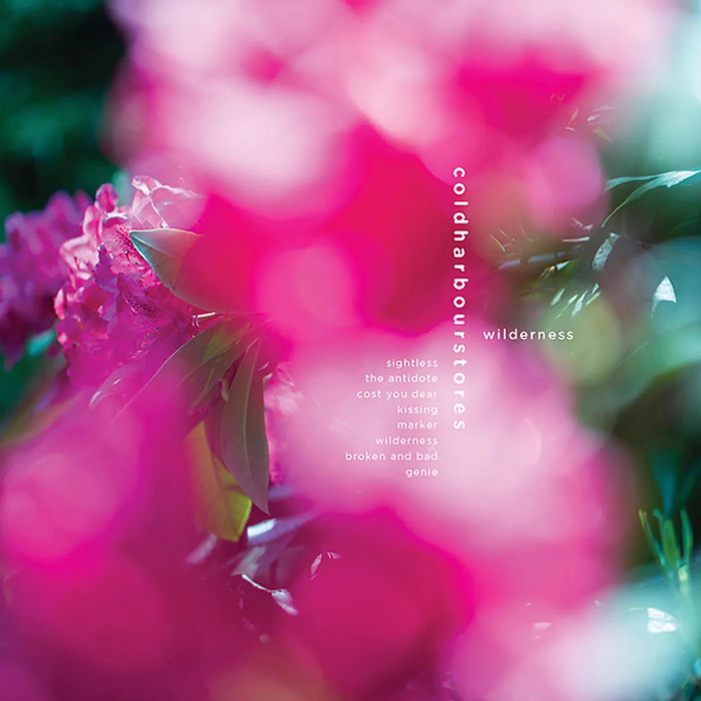Coldharbourstores WILDERNESS CD