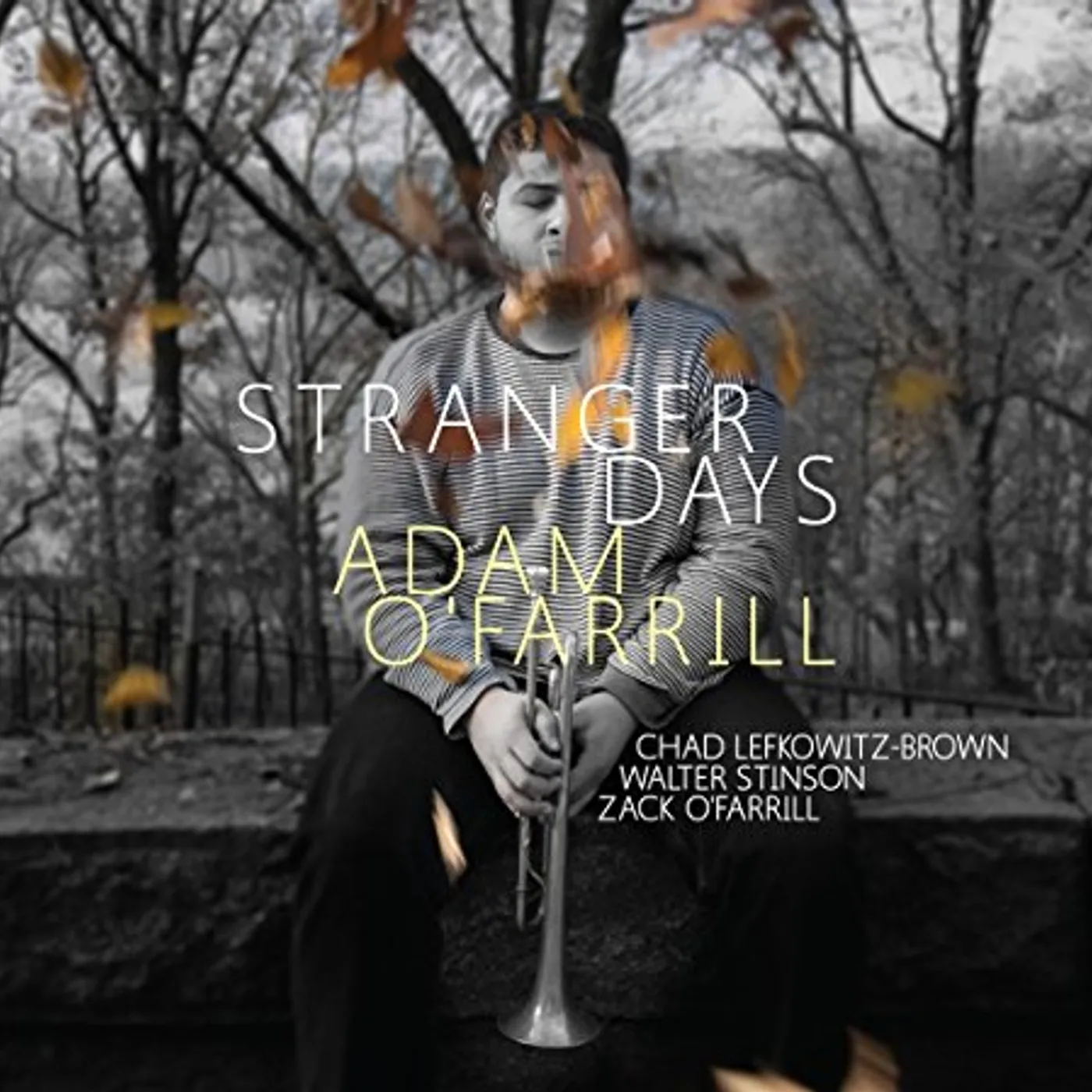 Adam O'Farrill STRANGER DAYS CD