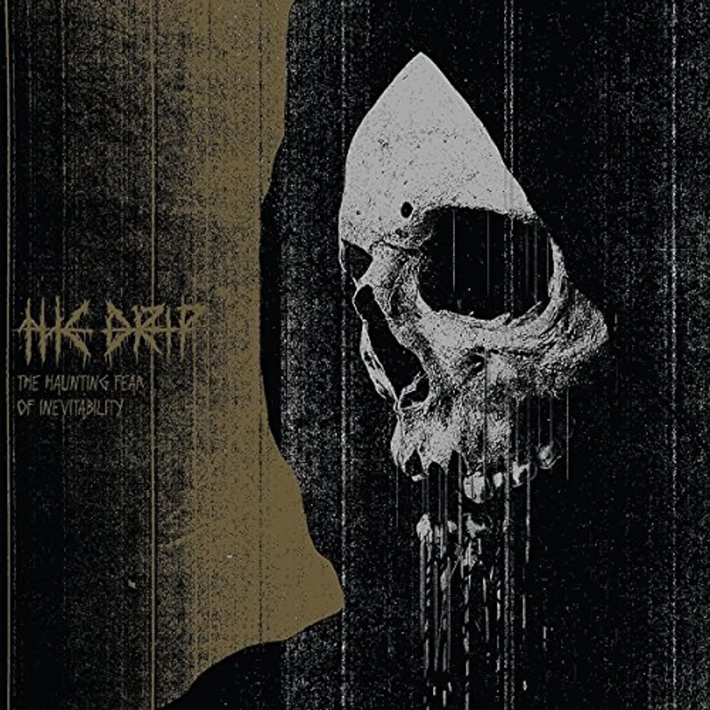 The Drip HAUNTING FEAR OF INEVITABILITY Vinyl Record