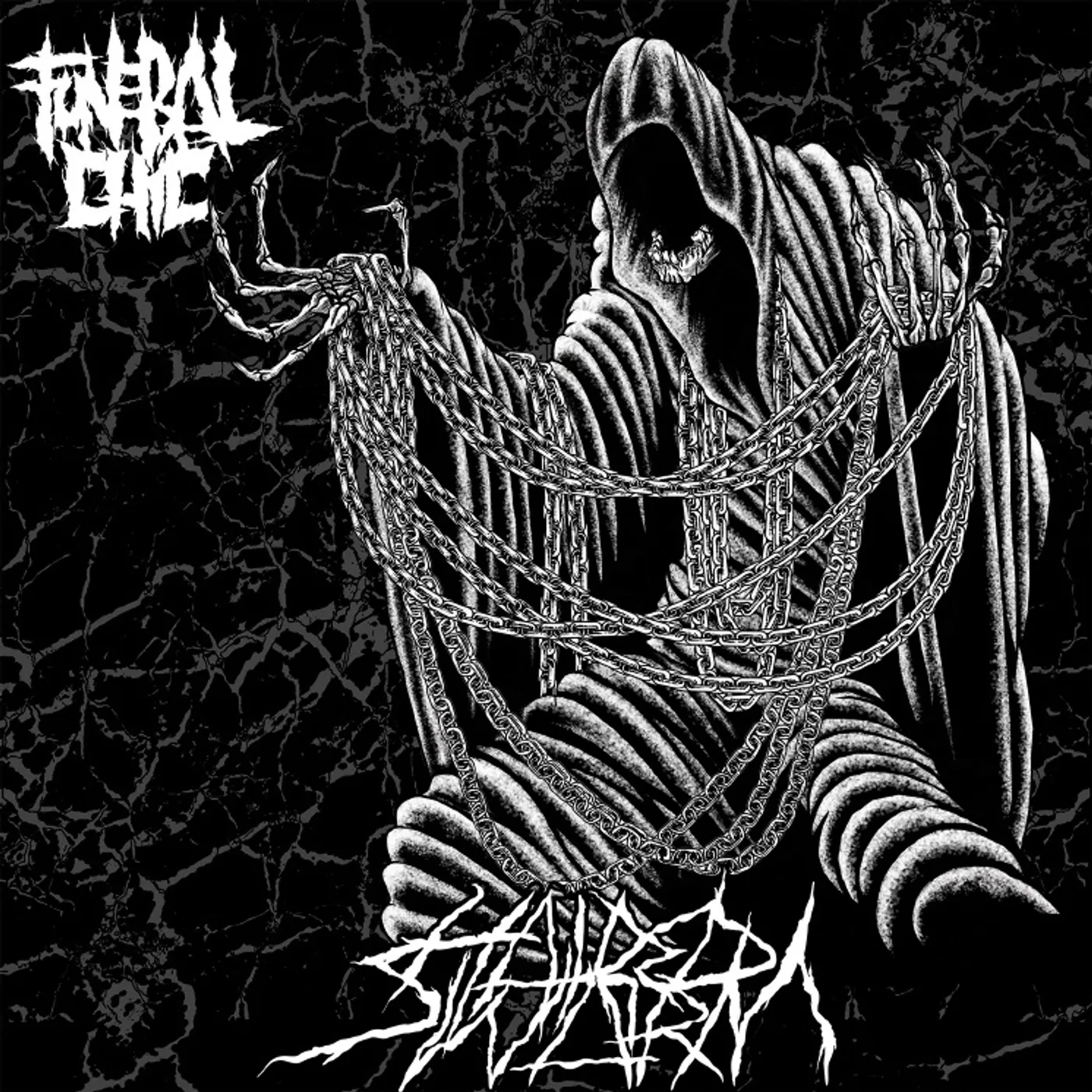 Funeral Chic Hatred Swarm Vinyl Record