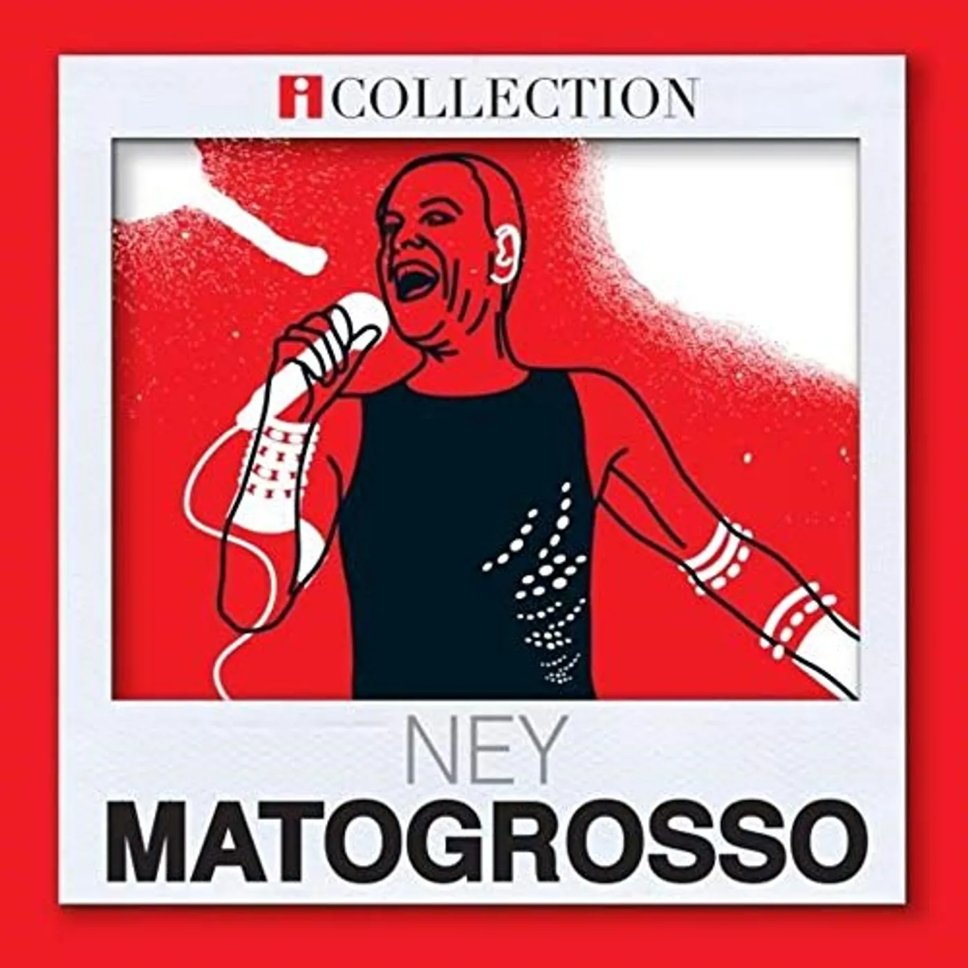 Ney Matogrosso SERIE ICOLLECTION CD