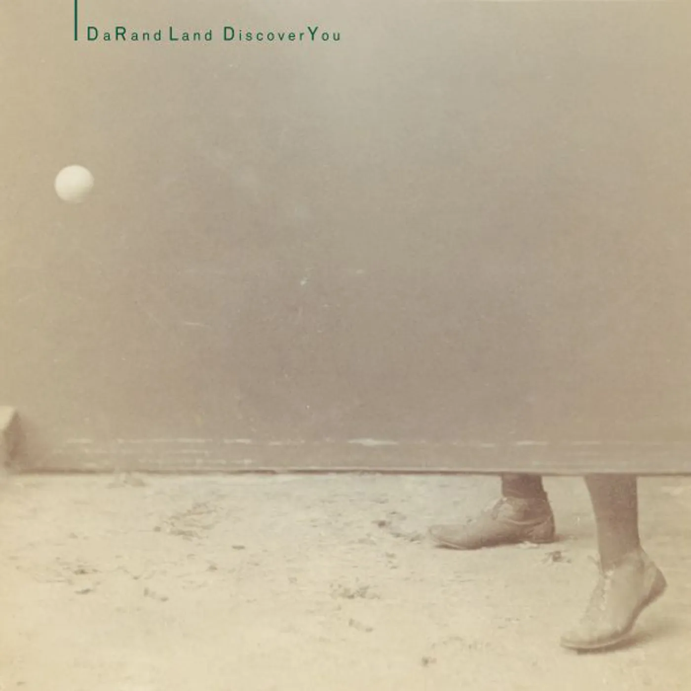 DaRand Land Discover You Vinyl Record