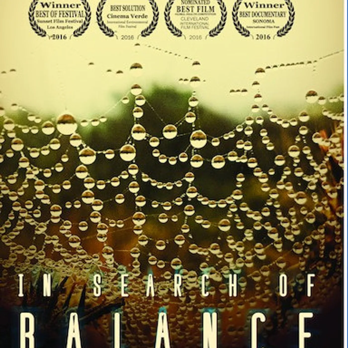 IN SEARCH OF BALANCE Blu-ray
