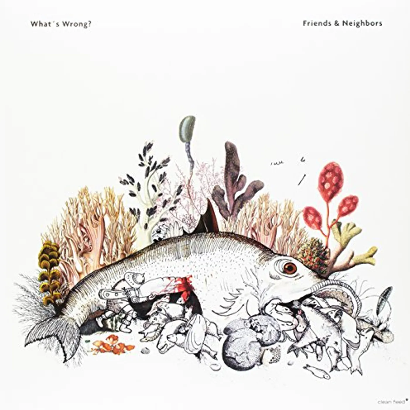 Friends & Neighbors What's Wrong? Vinyl Record