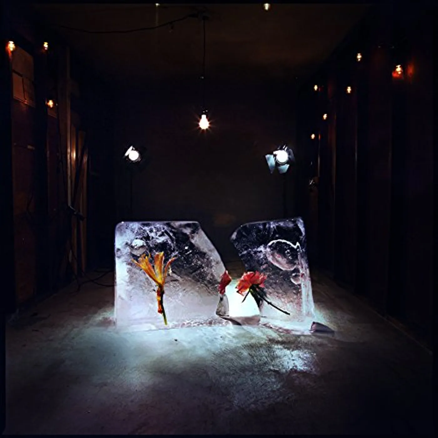 Shy Girls Salt Vinyl Record