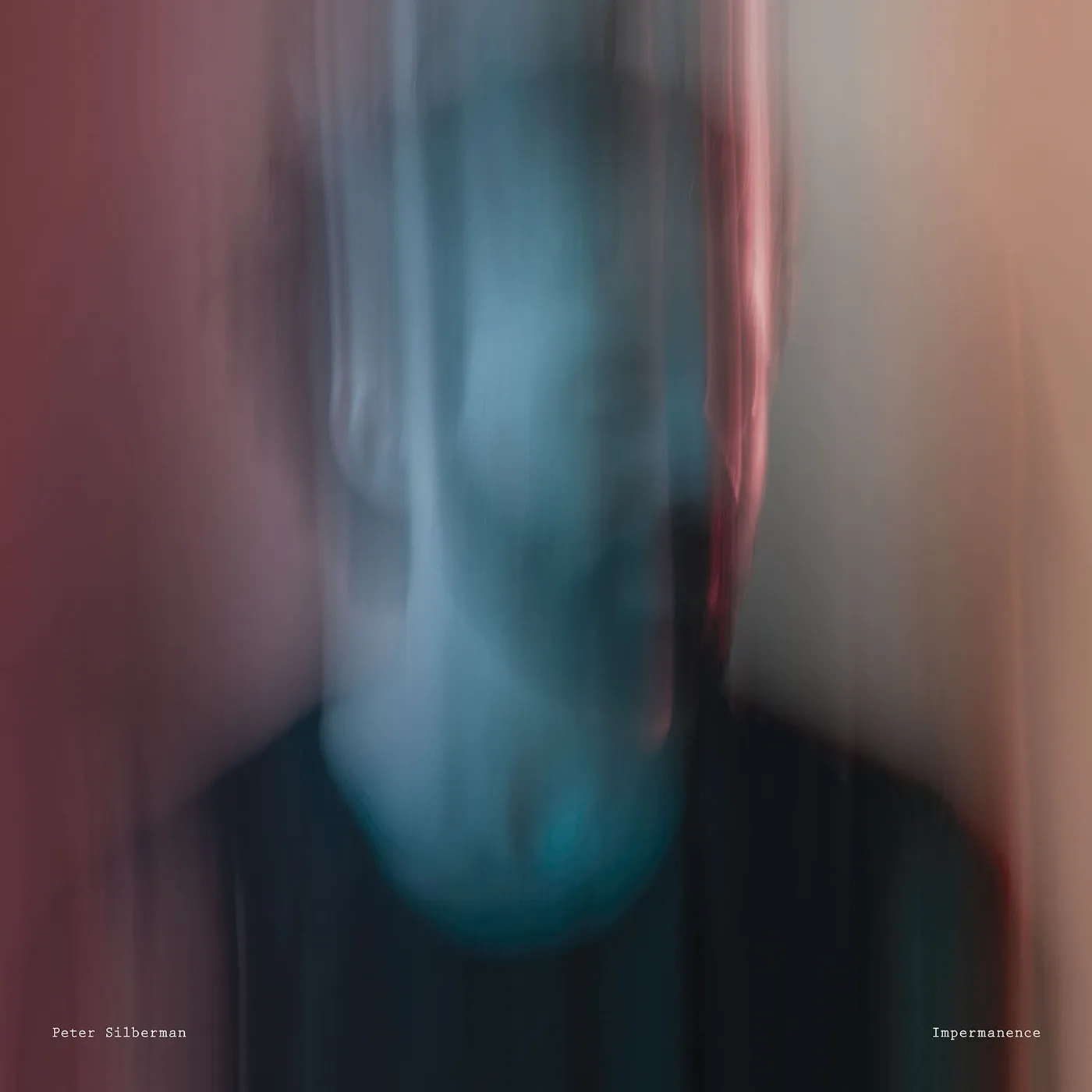 Peter Silberman Impermanence Vinyl Record