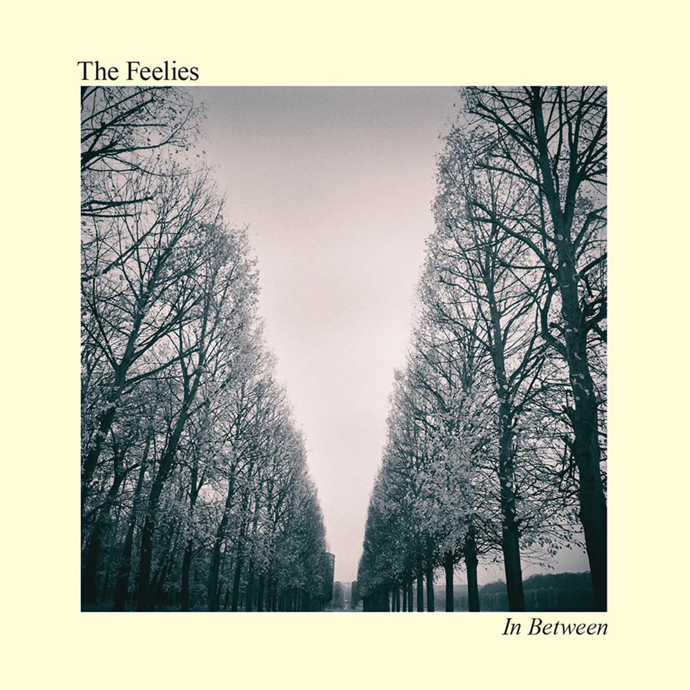 The Feelies IN BETWEEN CD