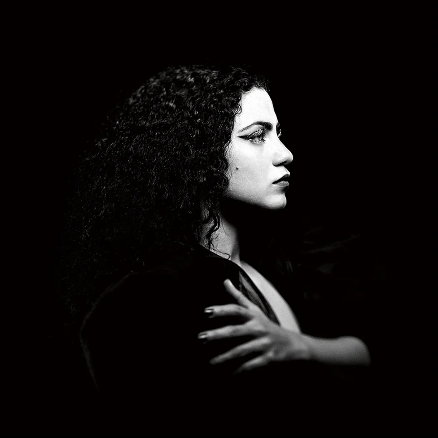EMEL Ensen Vinyl Record