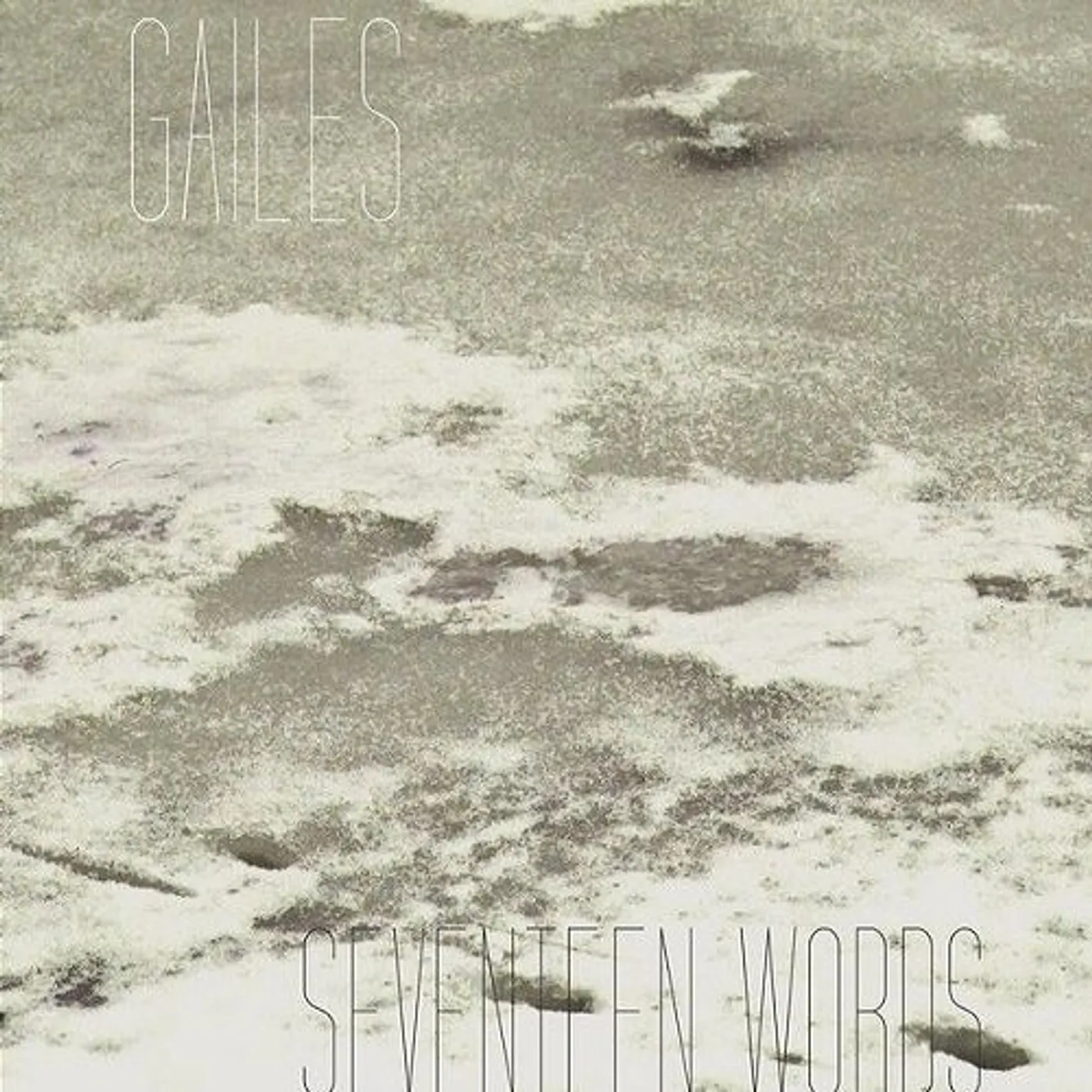 Gailes Seventeen Words Vinyl Record