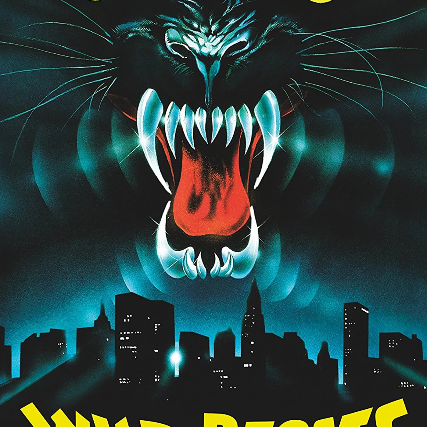 WILD BEASTS DVD