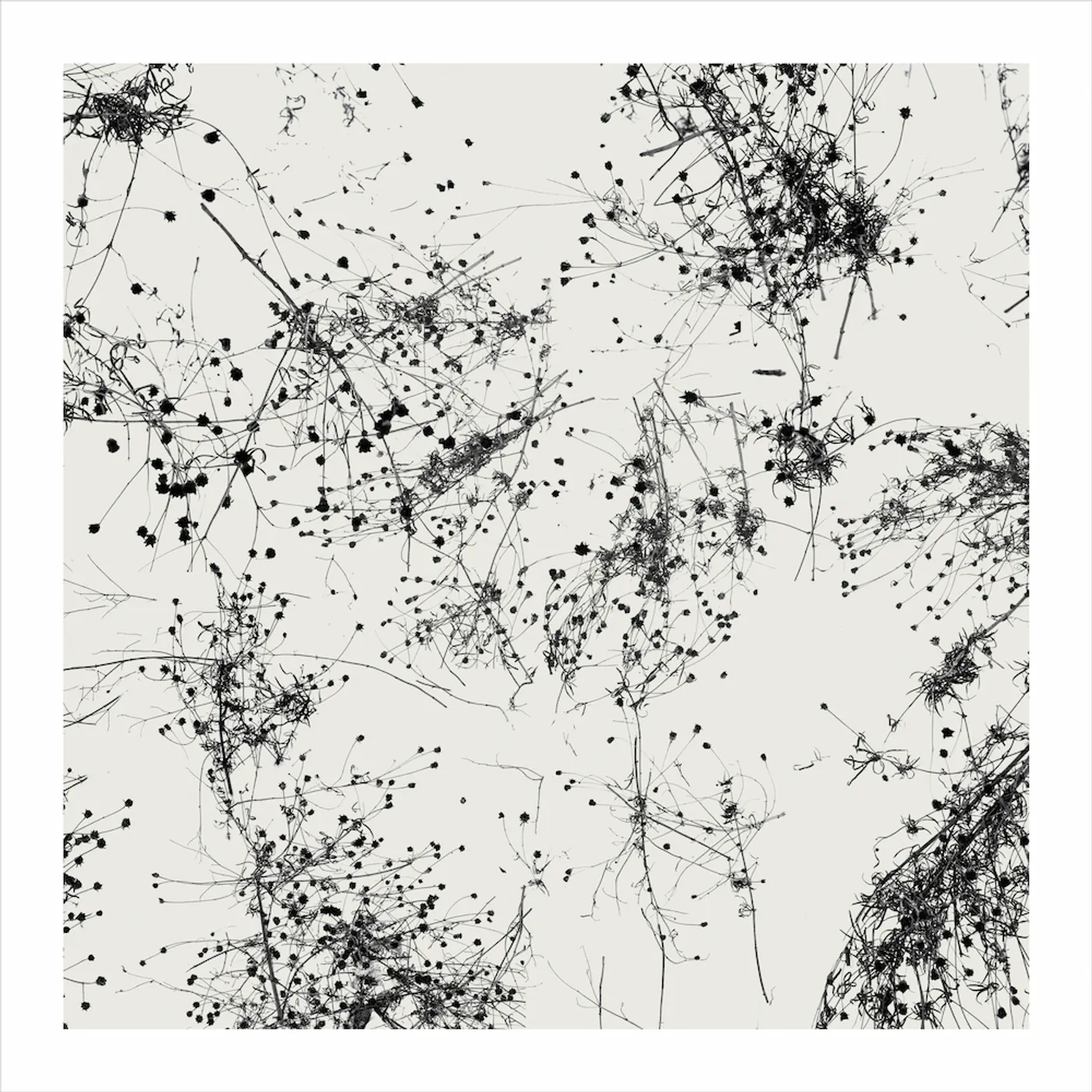 Taylor Deupree SOMI CD
