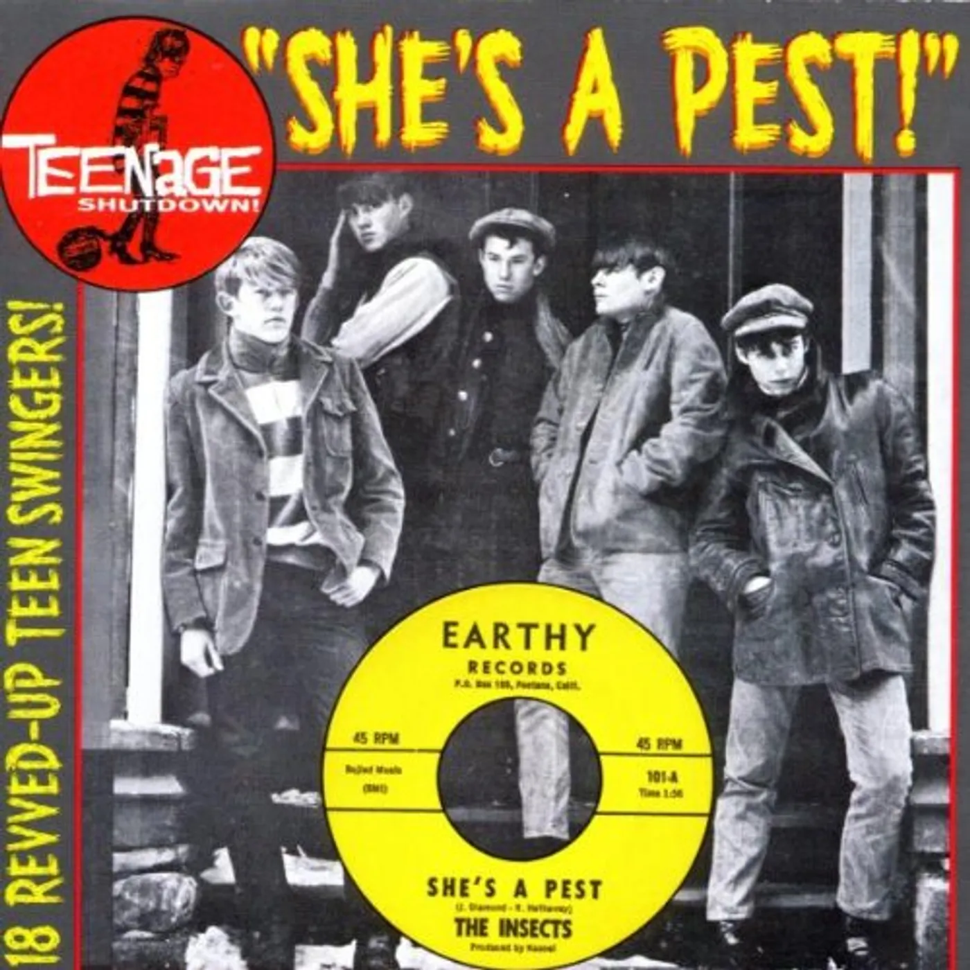 TEENAGE SHUTDOWN 15: SHE'S A PEST / VARIOUS CD
