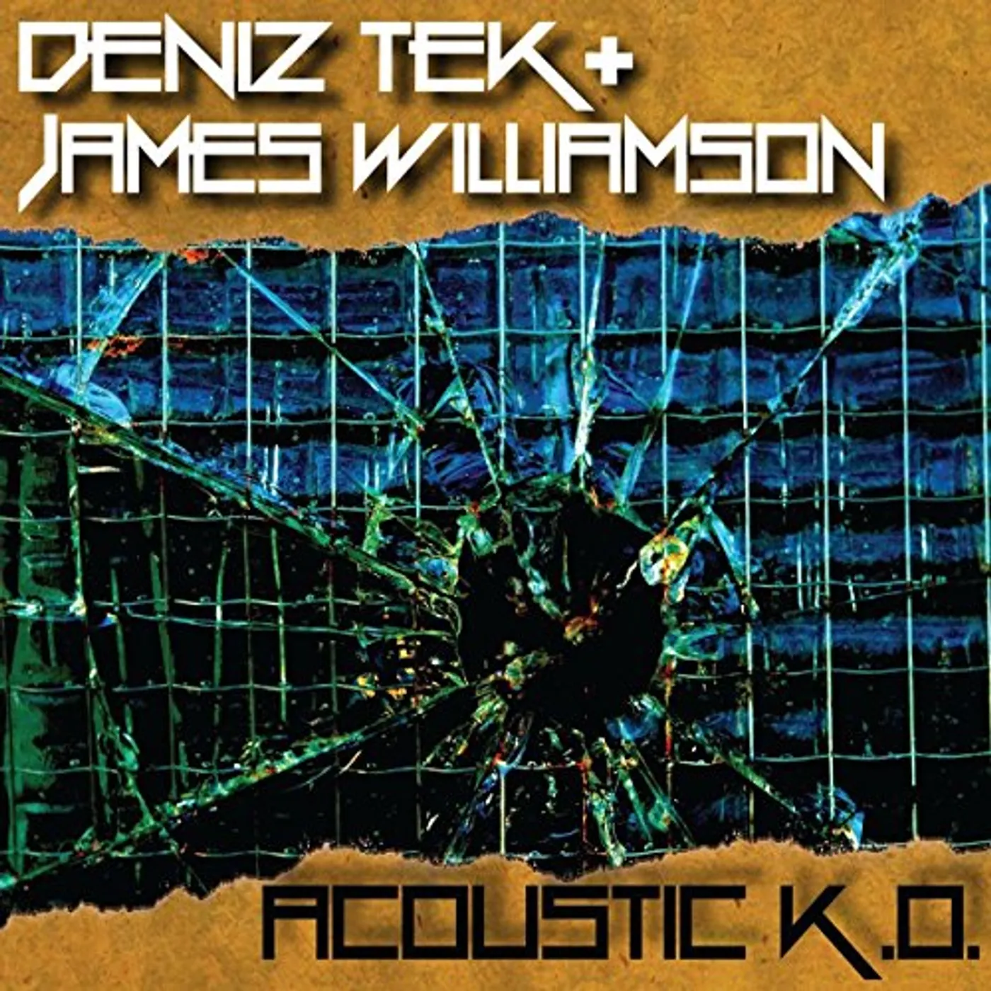 Deniz Tek / James Williamson ACOUSTIC K.O. Vinyl Record