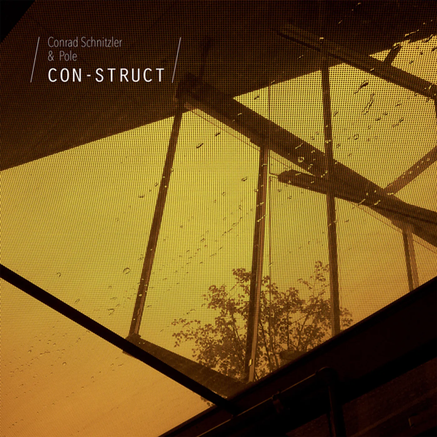 Schnitzler / Conrad Pole Con-Struct Vinyl Record