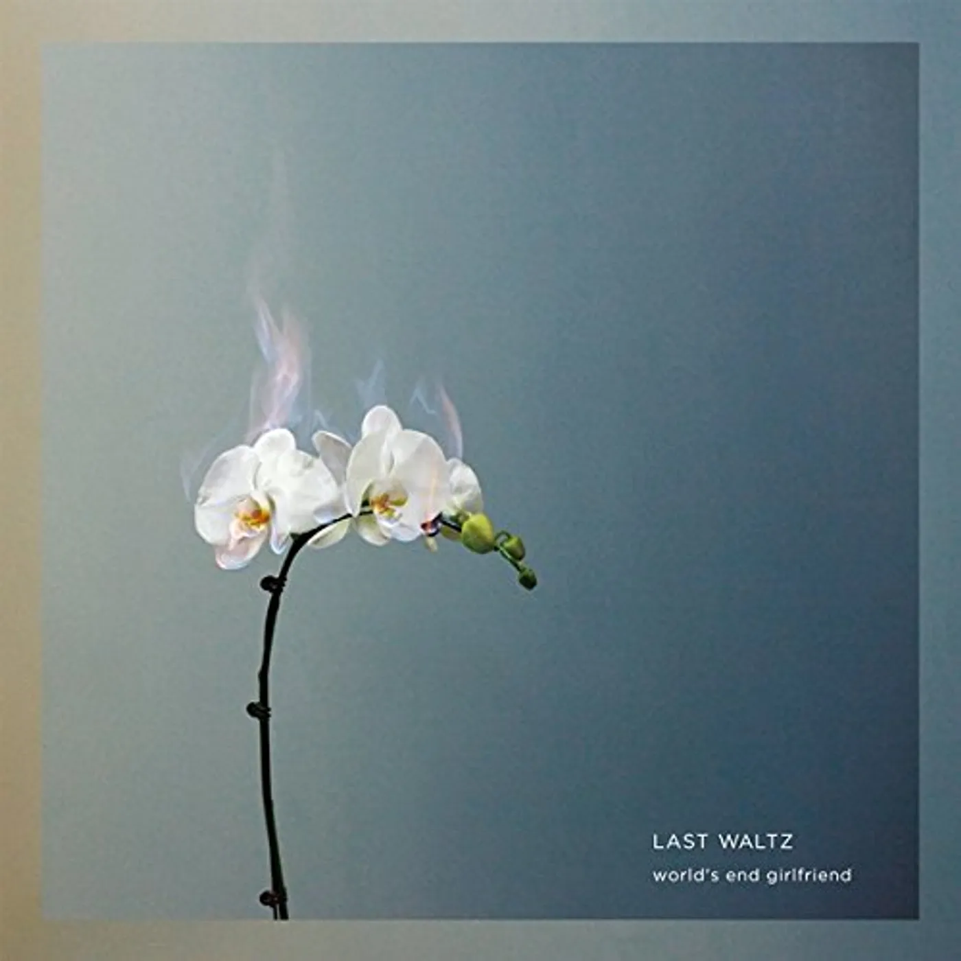 World's End Girlfriend LAST WALTZ CD