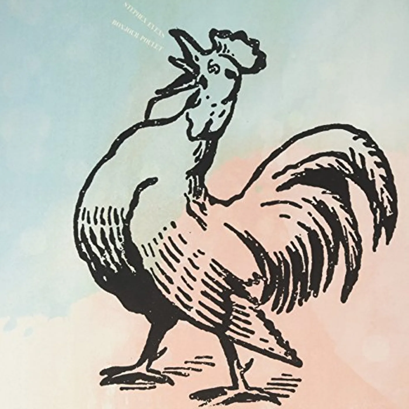 Stephen EvEns Bonjour Poulet Vinyl Record