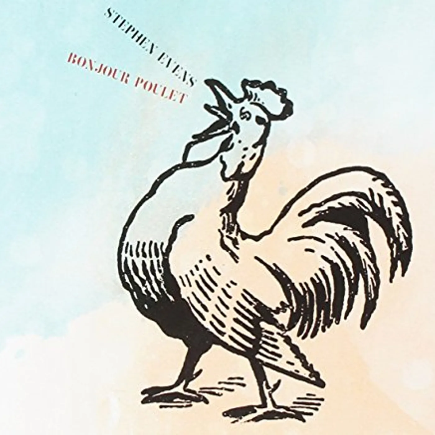 Stephen EvEns BONJOUR POULET CD