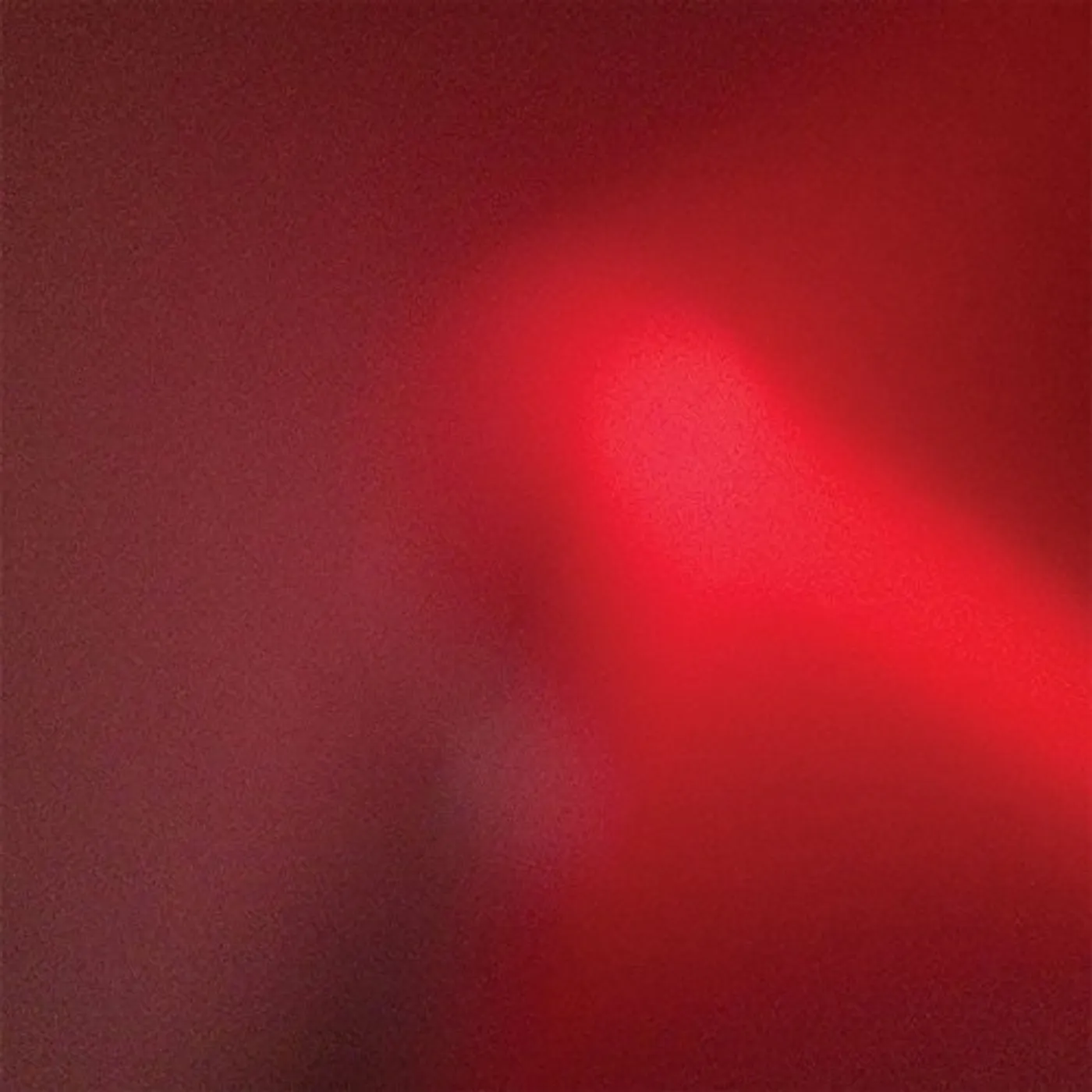 Meat Wave INCESSANT Vinyl Record