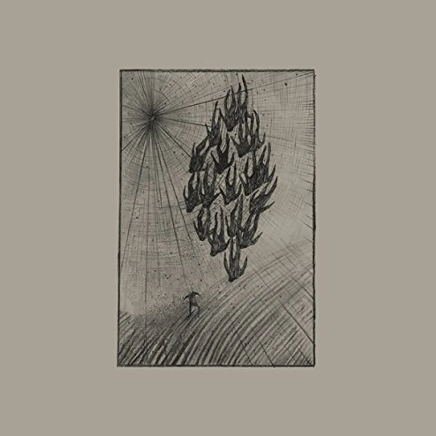 Aine O'dwyer Locusts Vinyl Record