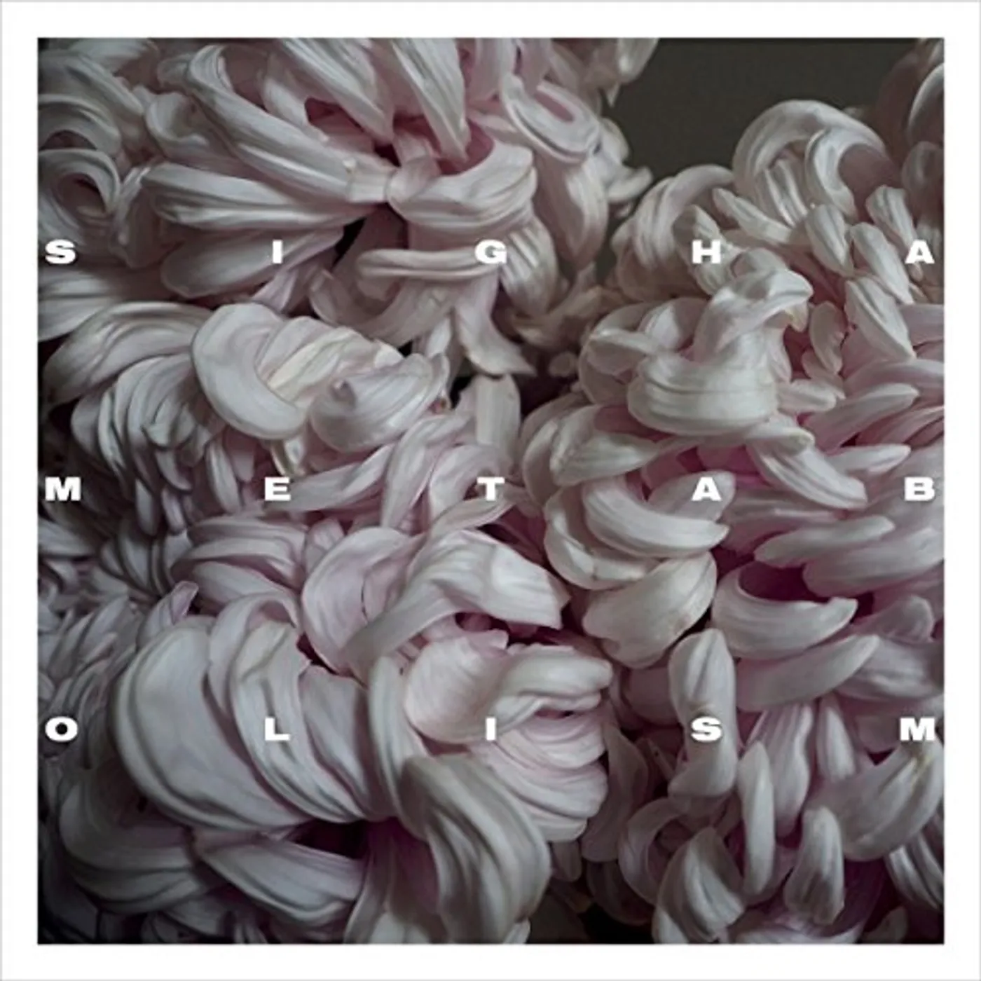 Sigha METABOLISM CD