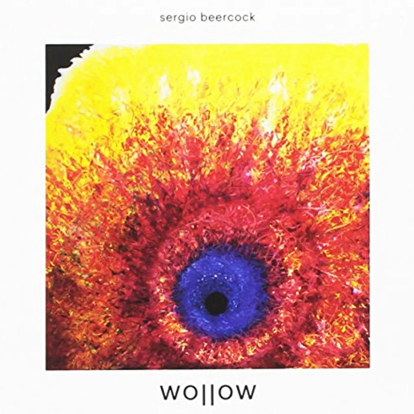 Sergio Beercock WOLLOW CD