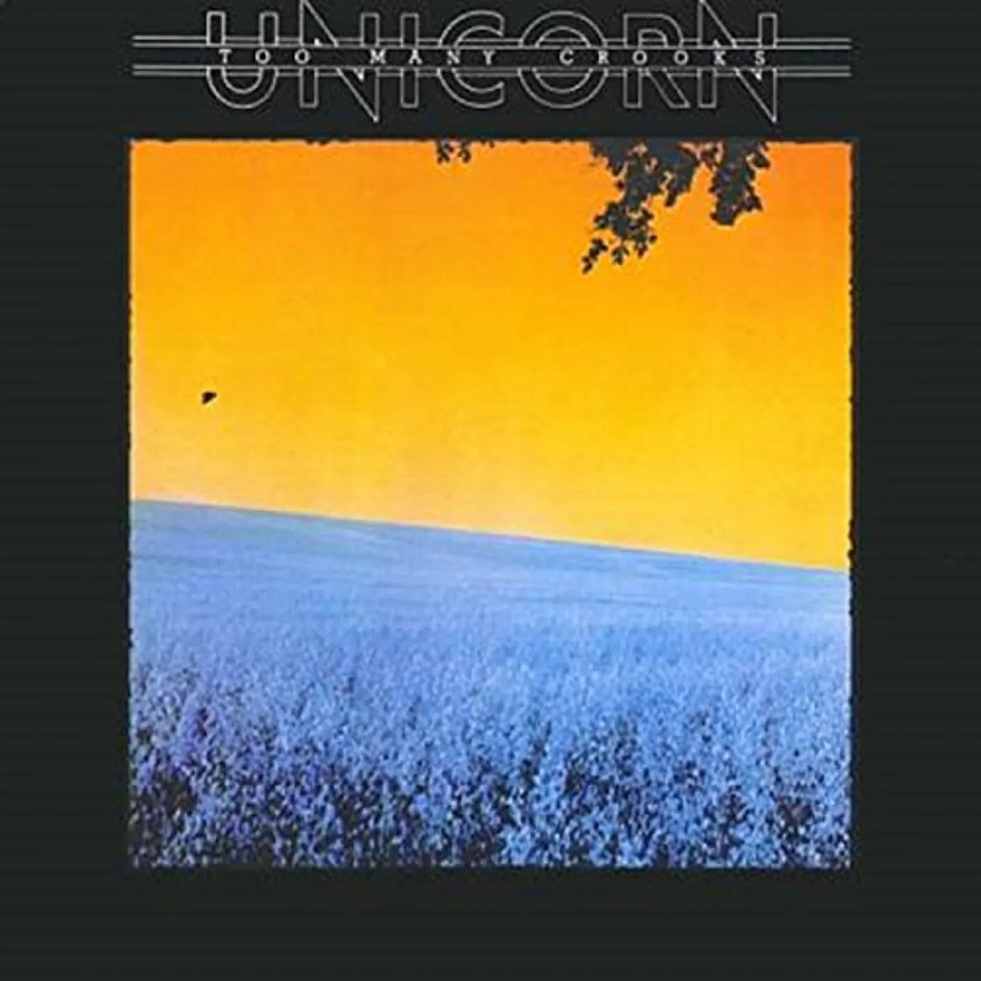 Unicorn TOO MANY CROOKS: REMASTERED & EXPANDED EDITION CD