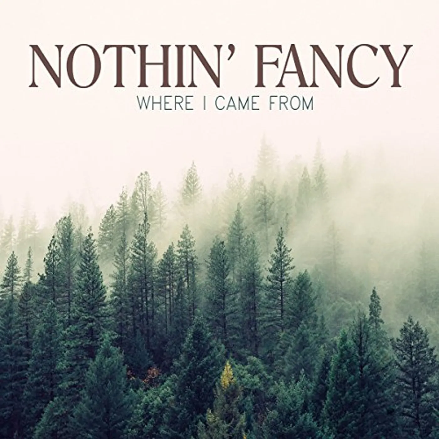 Nothin' Fancy WHERE I CAME FROM CD