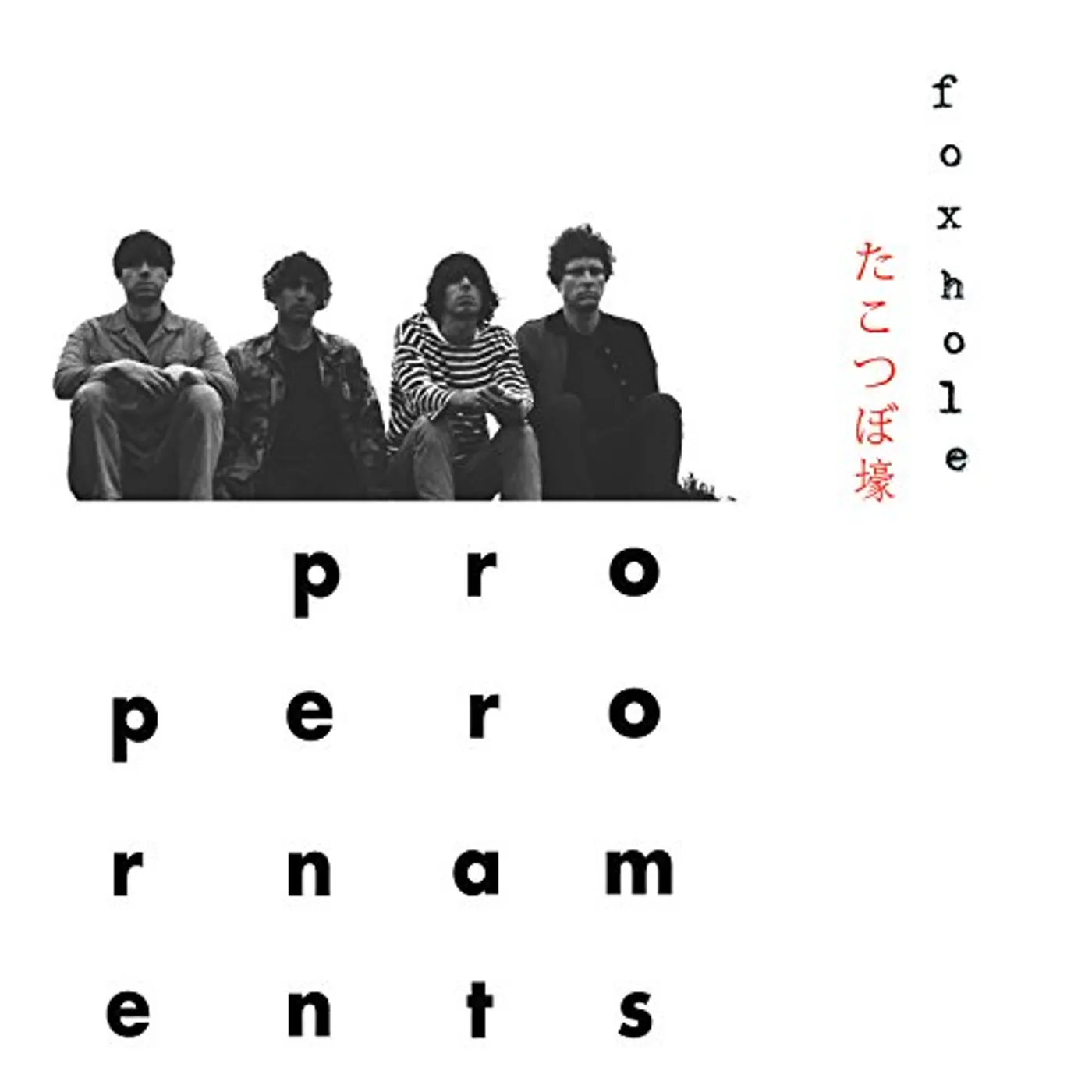 The Proper Ornaments Foxhole Vinyl Record