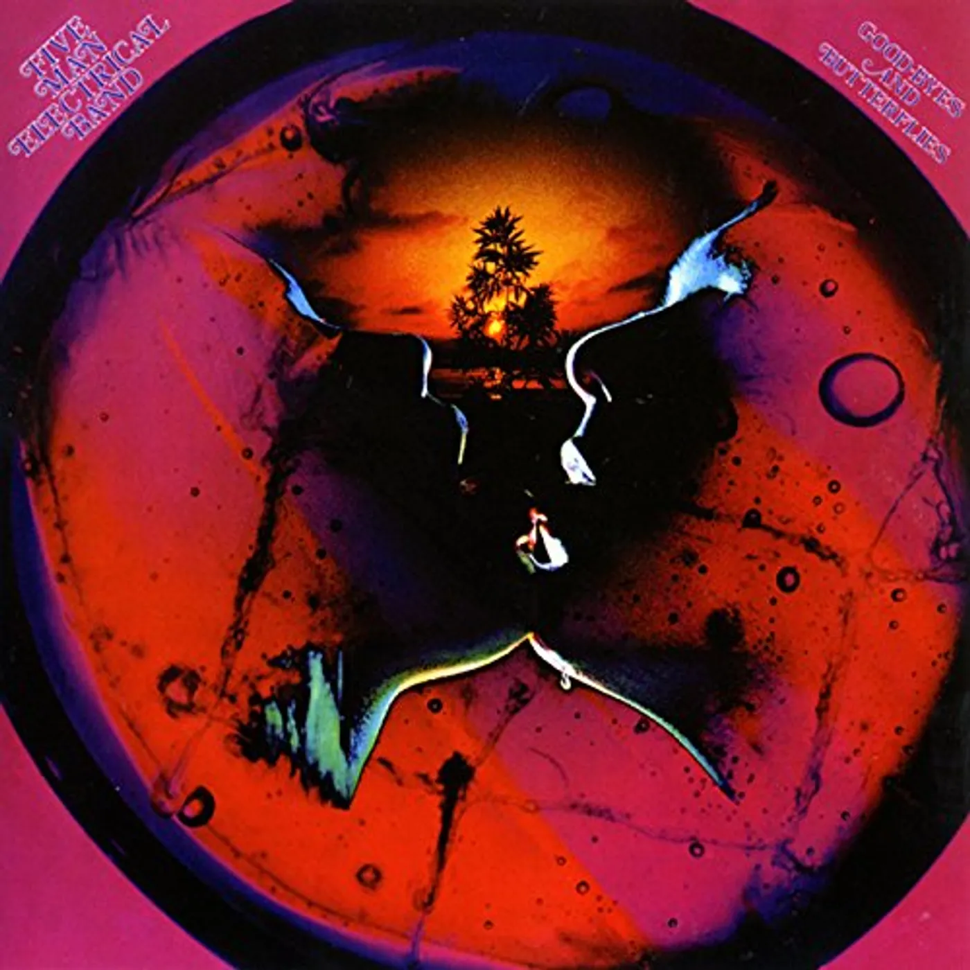 Five Man Electrical Band GOOD-BYE & BUTTERFLIES: LIMITED CD
