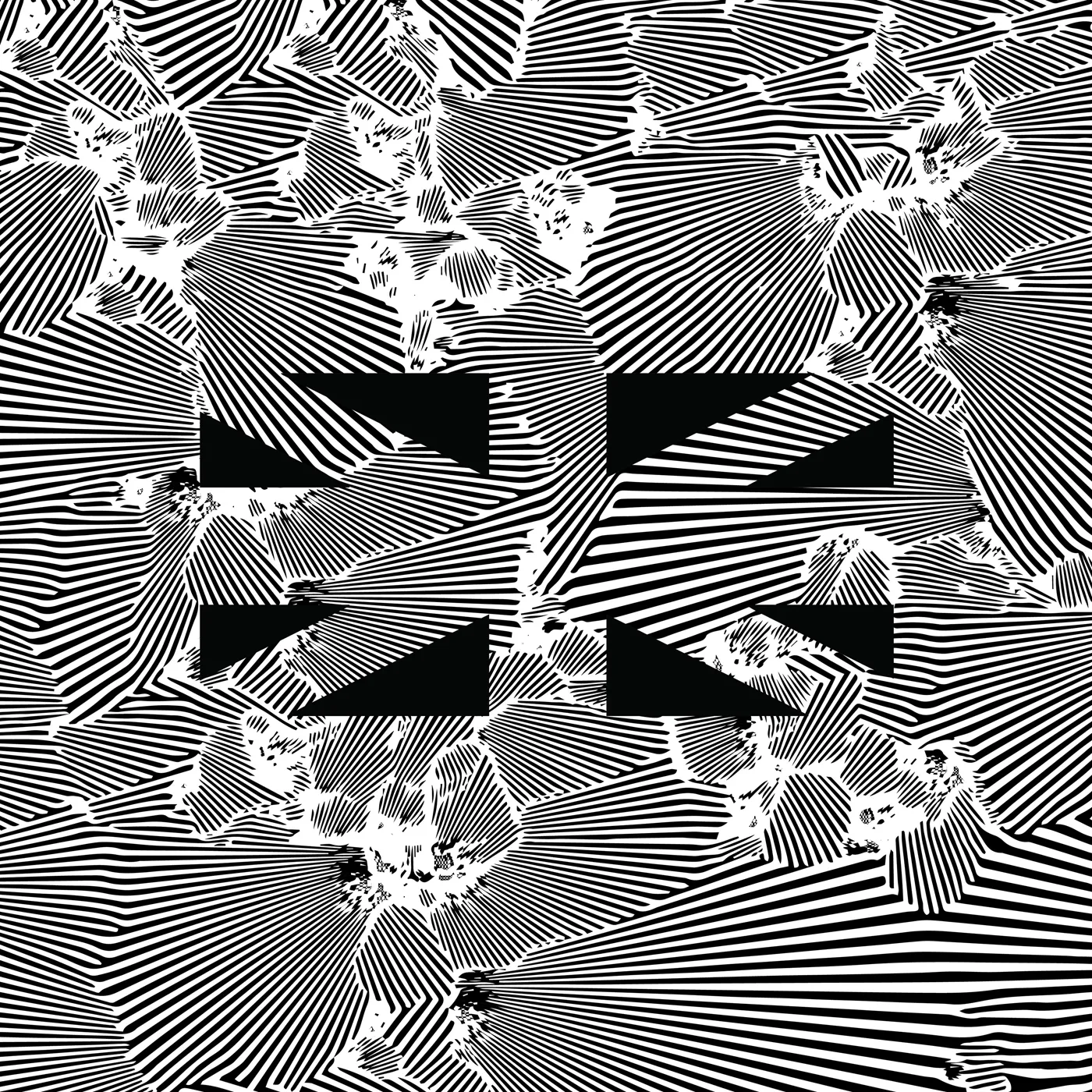 Moire No Future Vinyl Record
