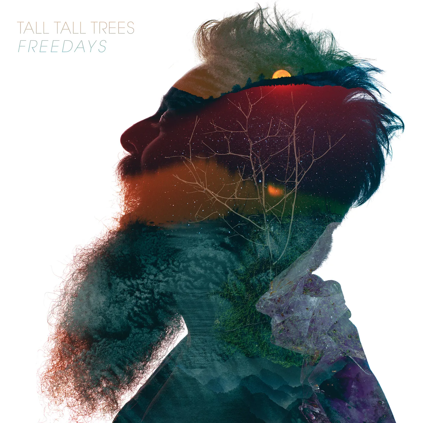 Tall Tall Trees Freedays Vinyl Record