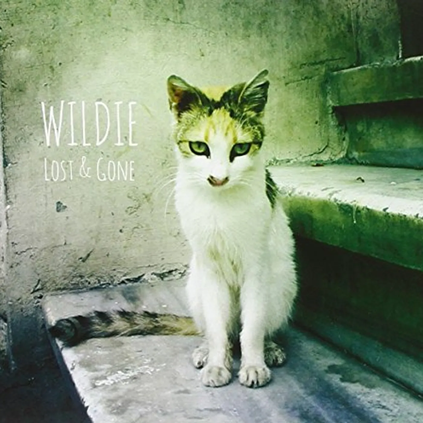 WILDIE CD