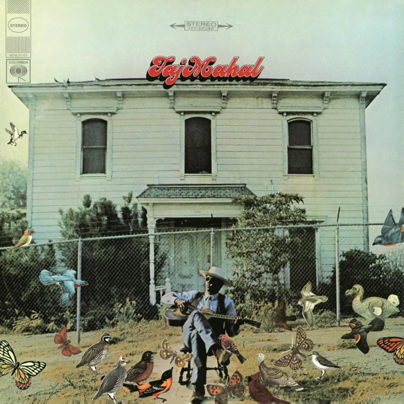 Taj Mahal Vinyl Record