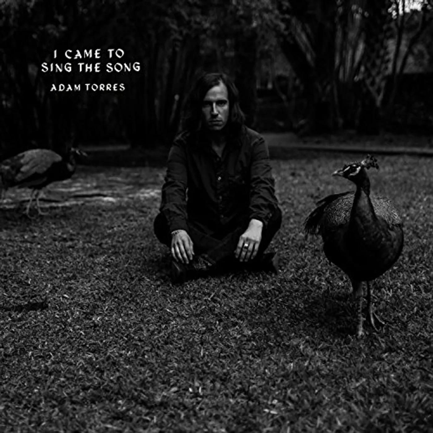 Adam Torres I CAME TO SING THE SONG CD