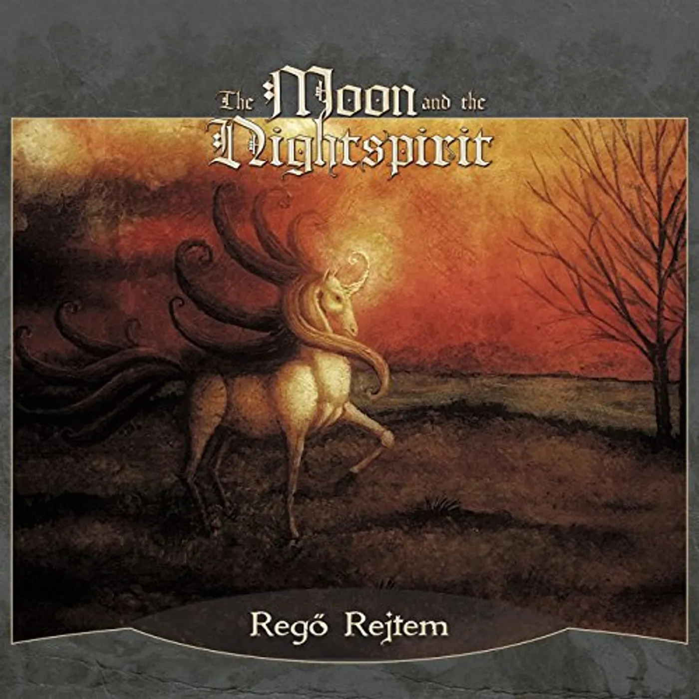 The Moon & The Nightspirit REGO REJTEM CD
