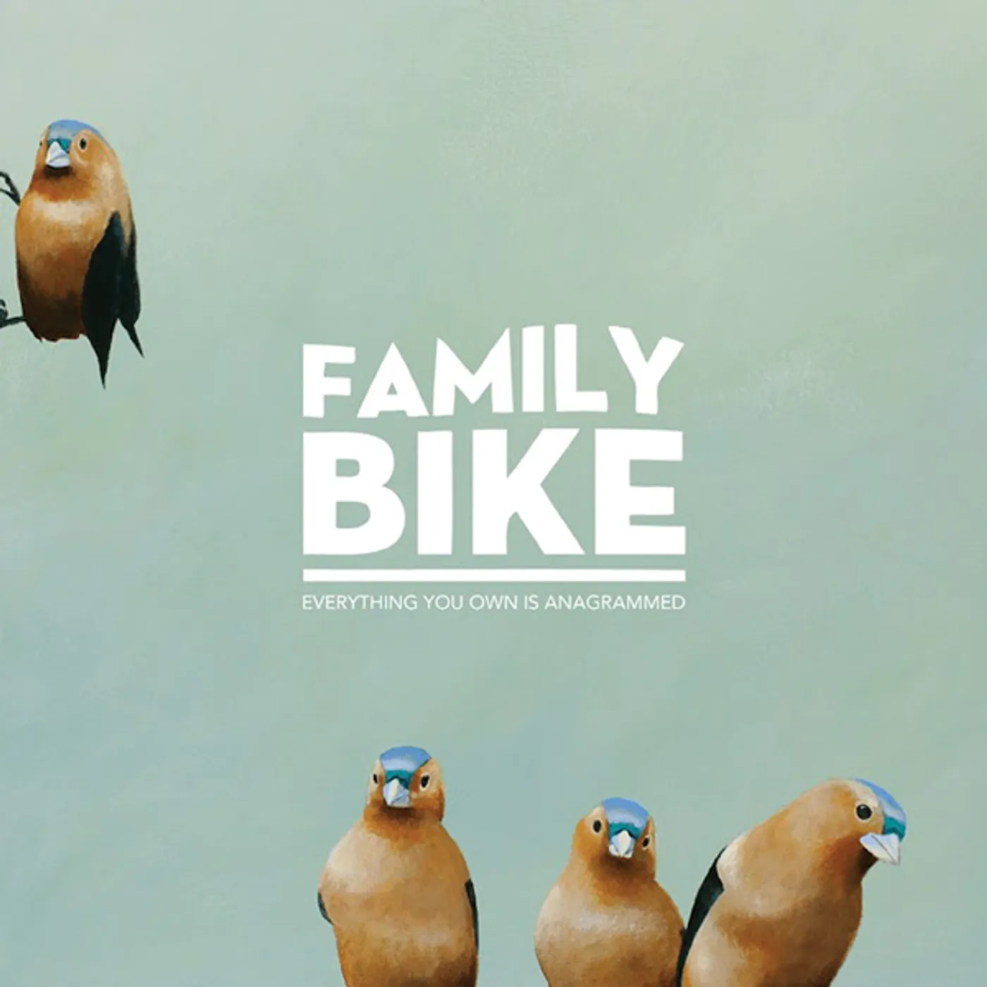 Family Bike Everything You Own Is Anagrammed Vinyl Record
