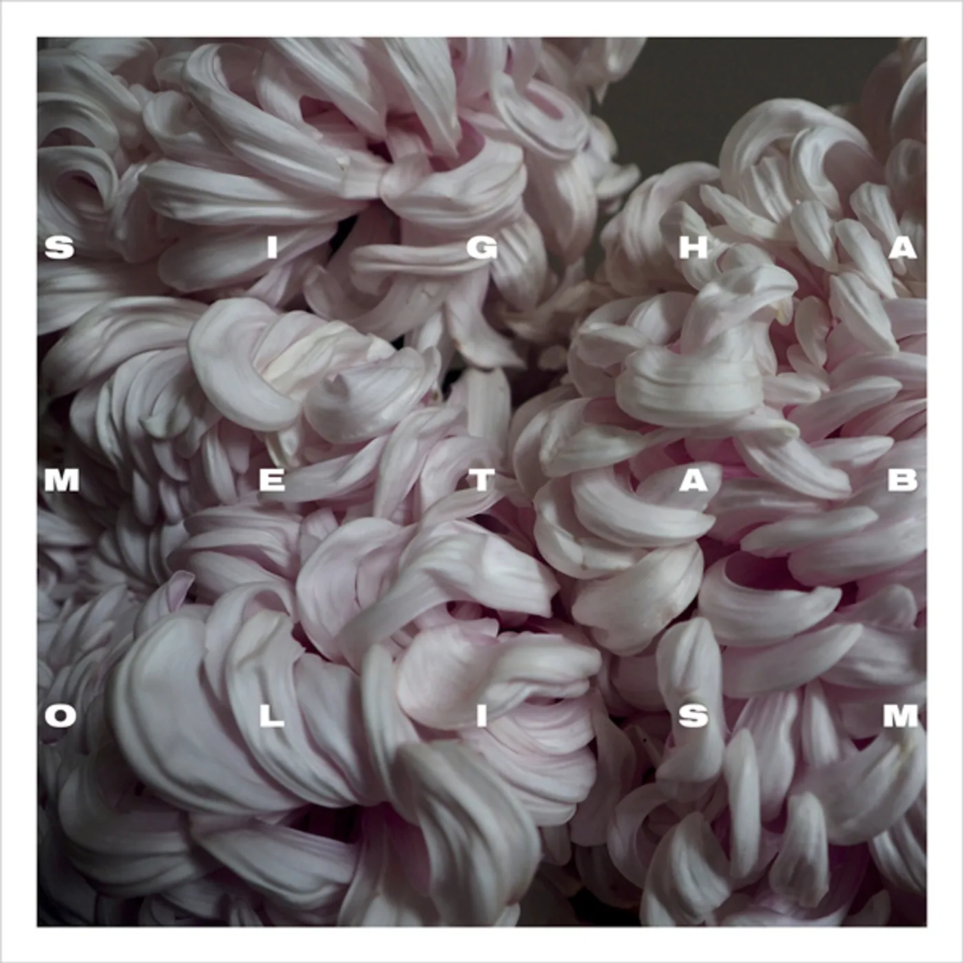 Sigha Metabolism Vinyl Record