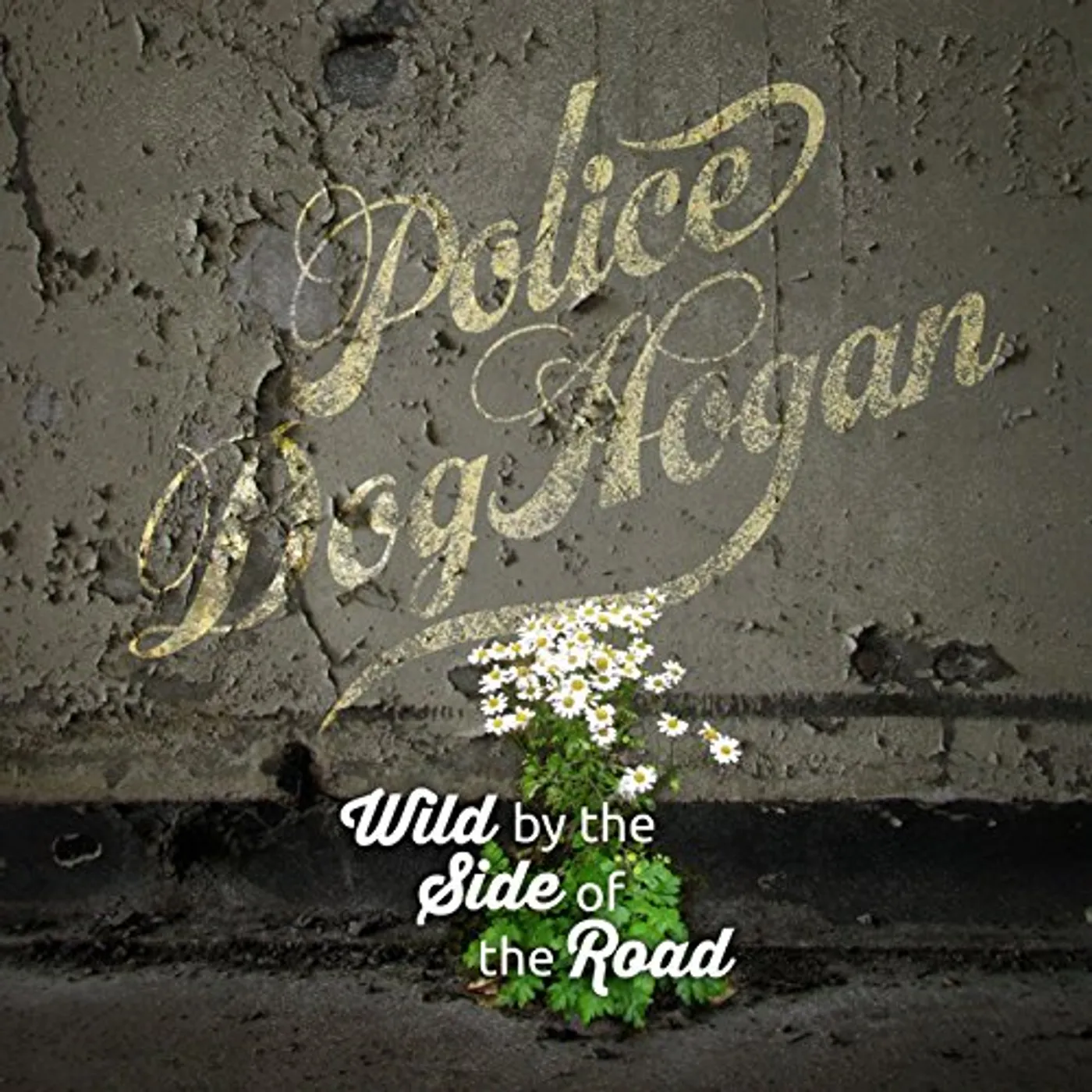 Police Dog Hogan WILD BY THE SIDE OF THE ROAD CD
