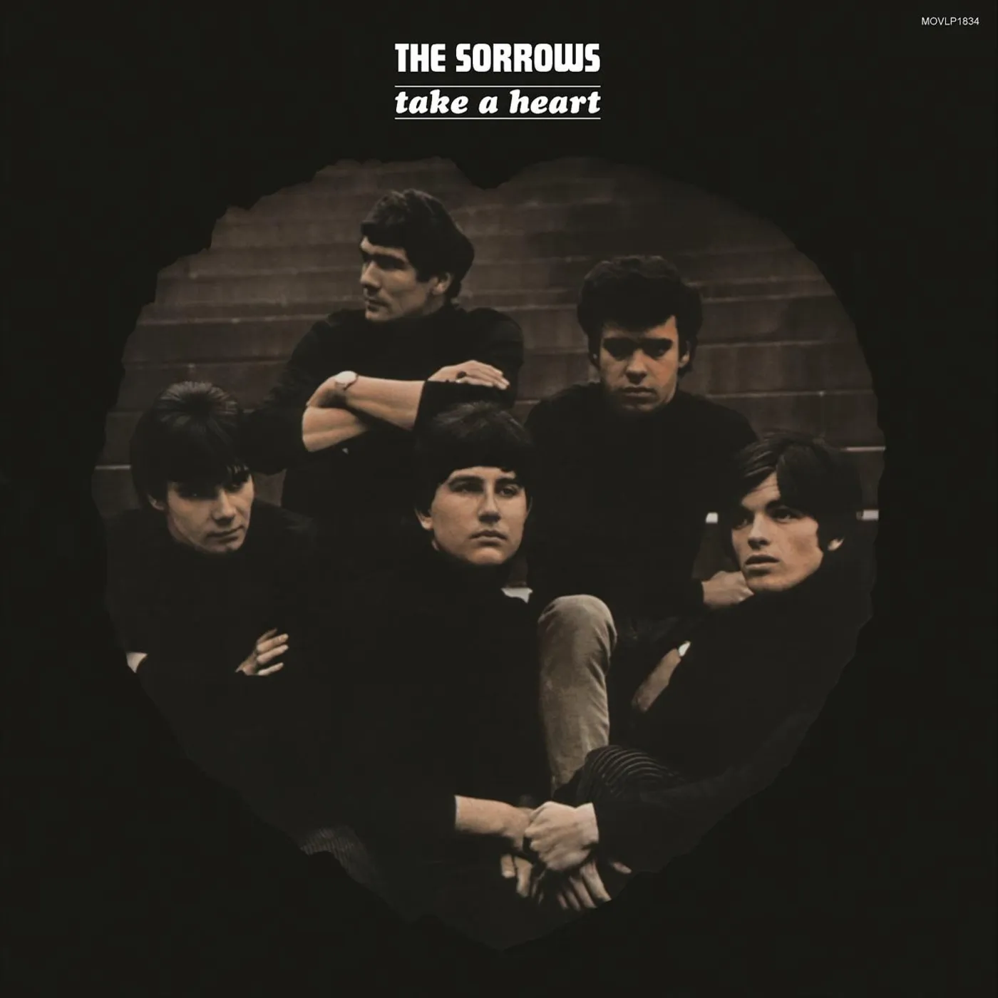 Sorrows Take A Heart Vinyl Record