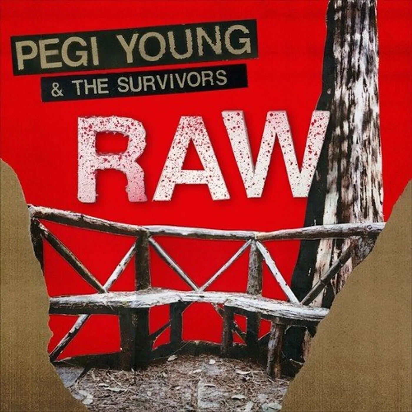 Pegi Young RAW CD