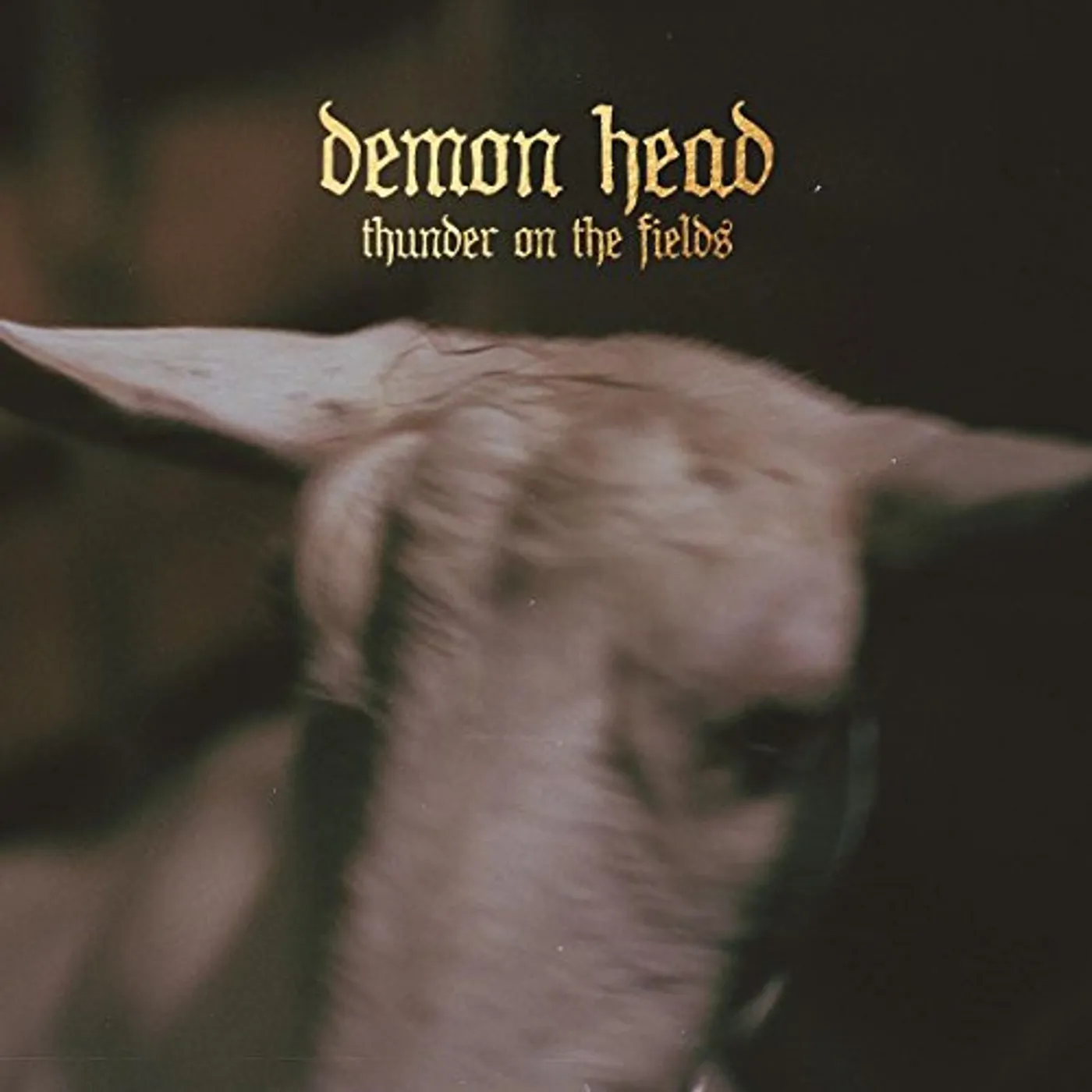Demon Head THUNDER ON THE FIELDS CD