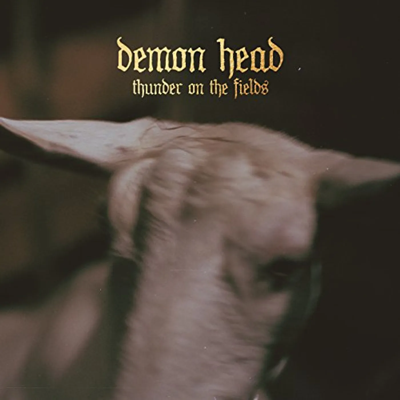 Demon Head Thunder On the Fields Vinyl Record