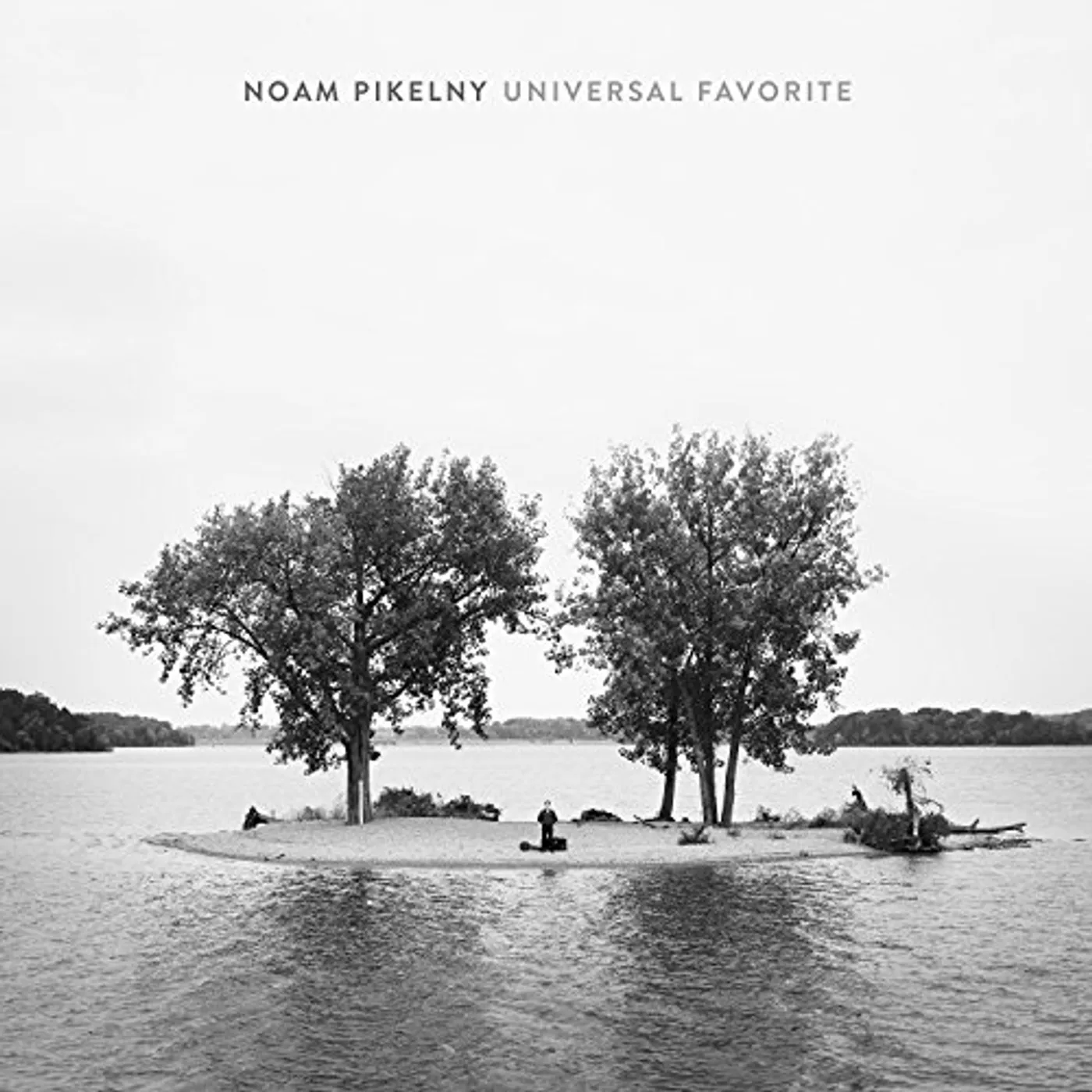 Noam Pikelny Universal Favorite Vinyl Record