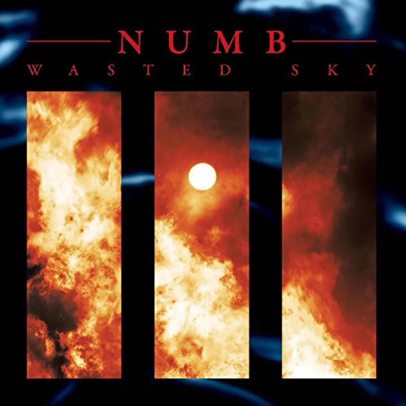 Numb Wasted Sky Vinyl Record