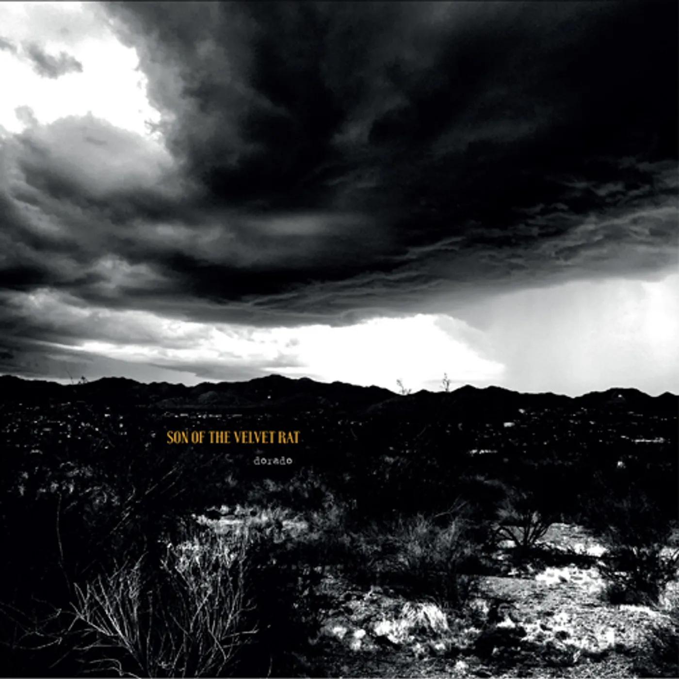 Son Of The Velvet Rat DORADO CD