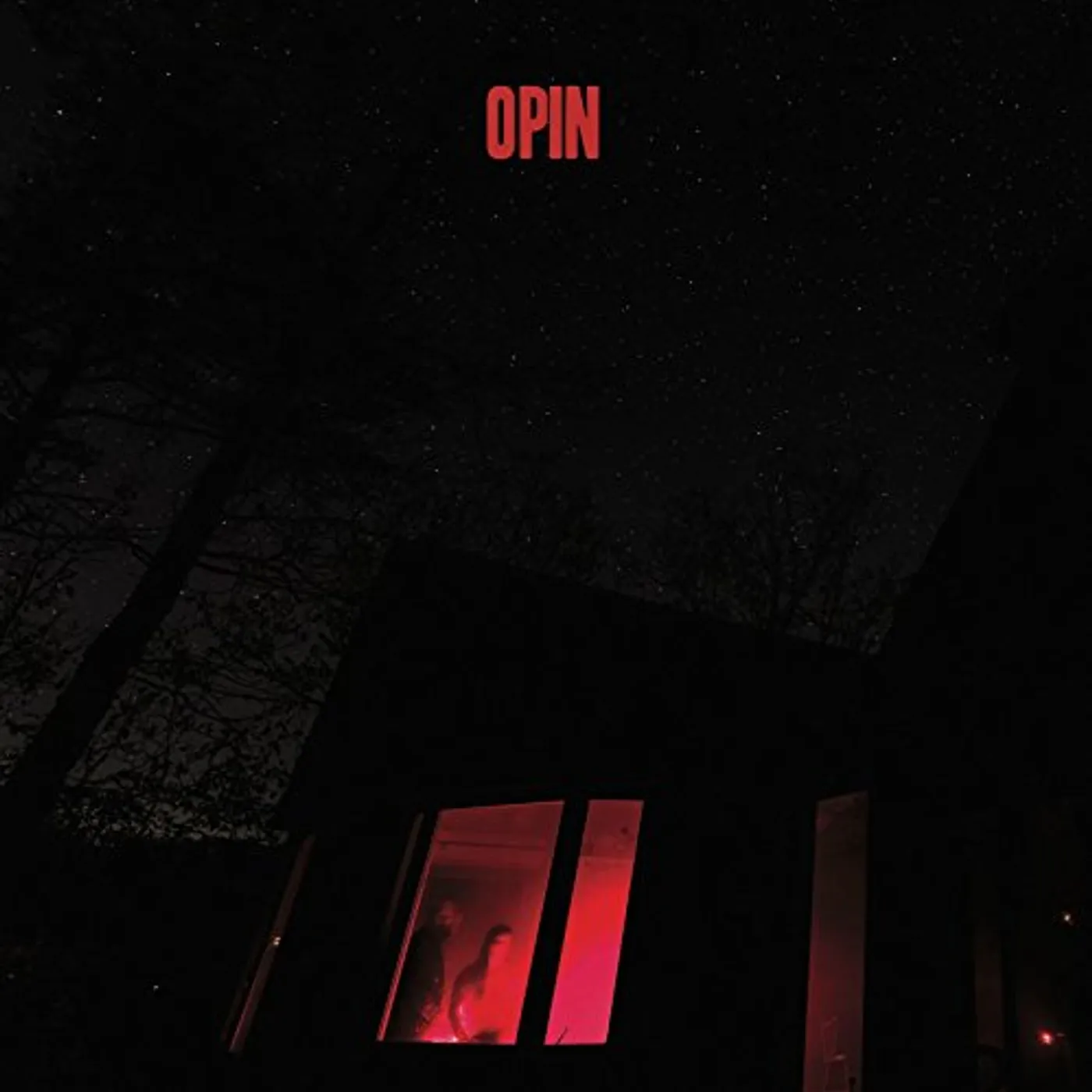 Opin Vinyl Record