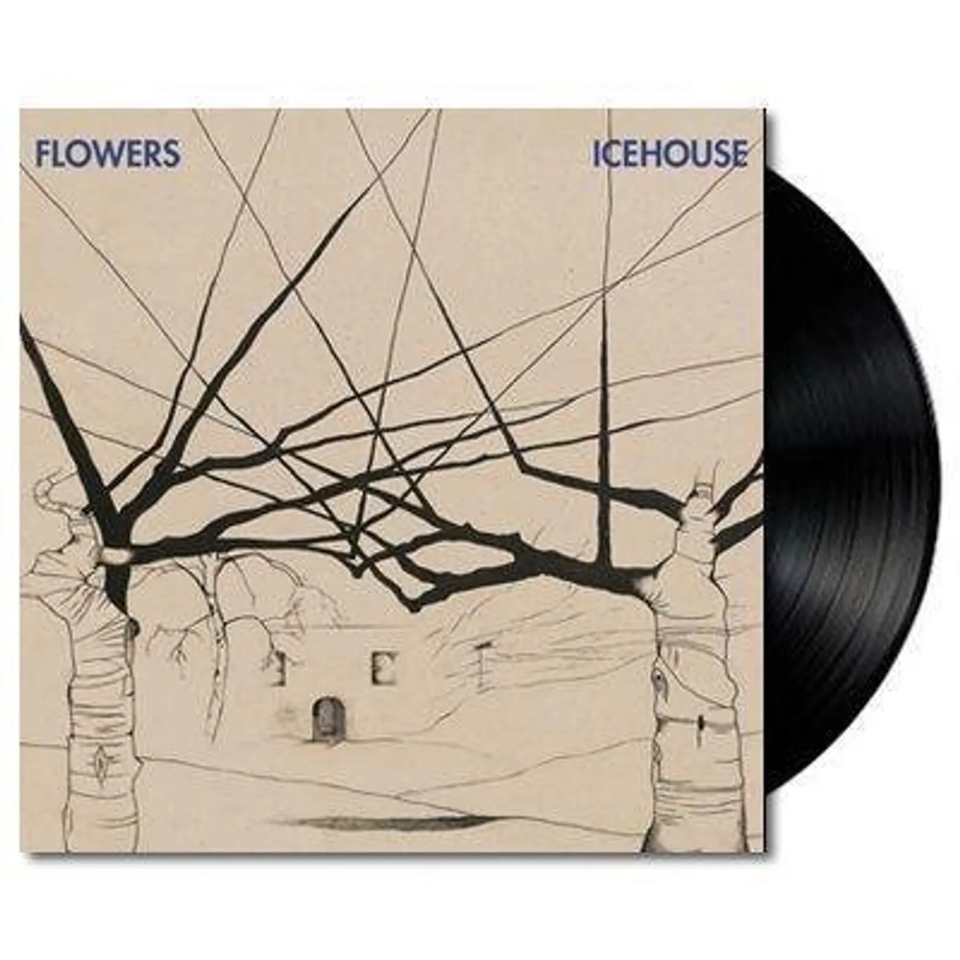 Icehouse Vinyl Record