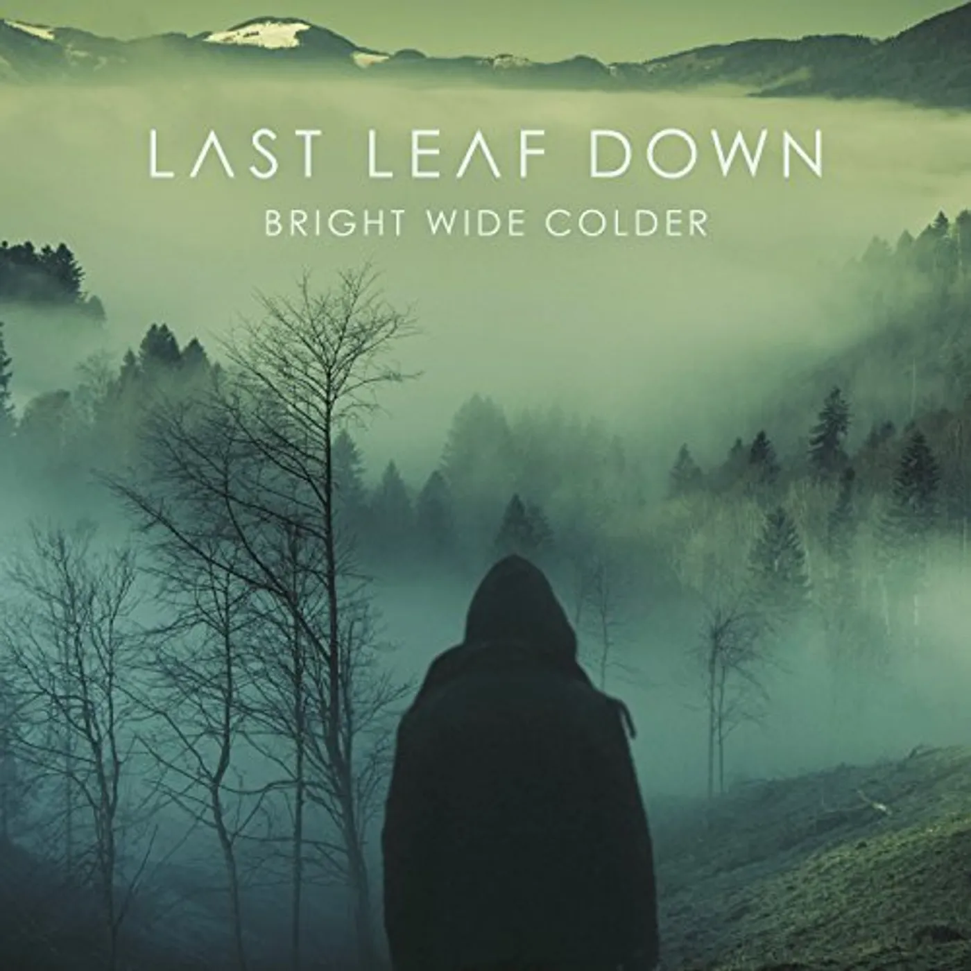 Last Leaf Down BRIGHT WIDE COLDER CD